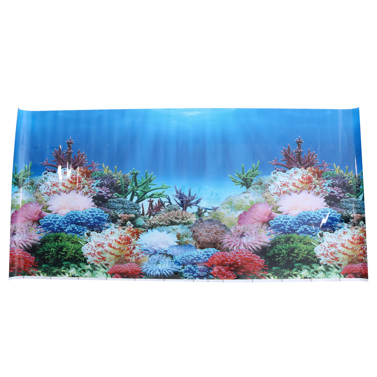 3 D Wallpaper Aquarium Picture - Fish In Aquarium Picture 评论和价格