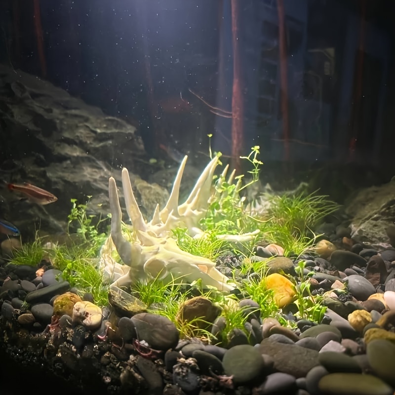 1pc Dragon-Shaped Fishbone Dec - Aquarium Fish Dragon 评论和价格