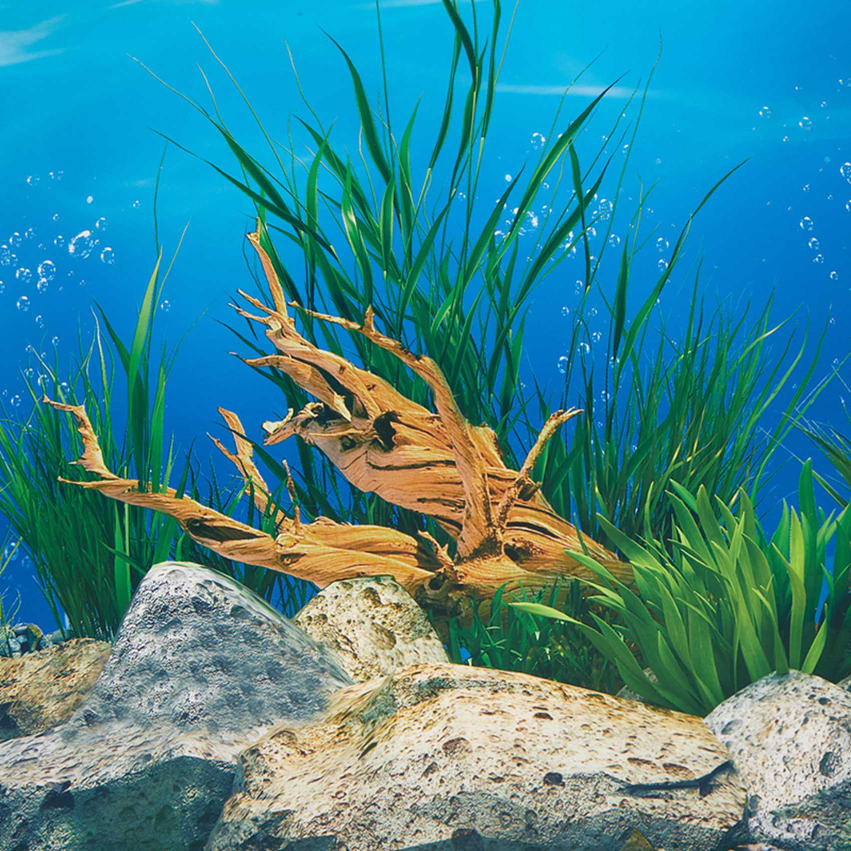 ABWR-Aquarium Background Paper - Fish In Aquarium Picture 评论和价格