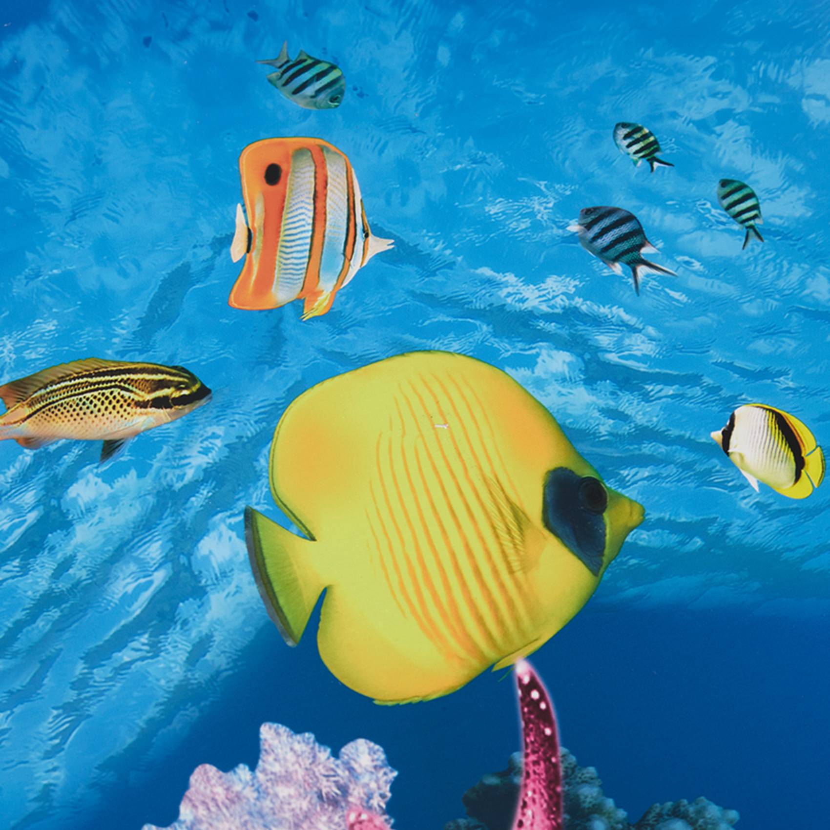 ABWR-Aquarium Background Paper - Fish In Aquarium Picture 评论和价格