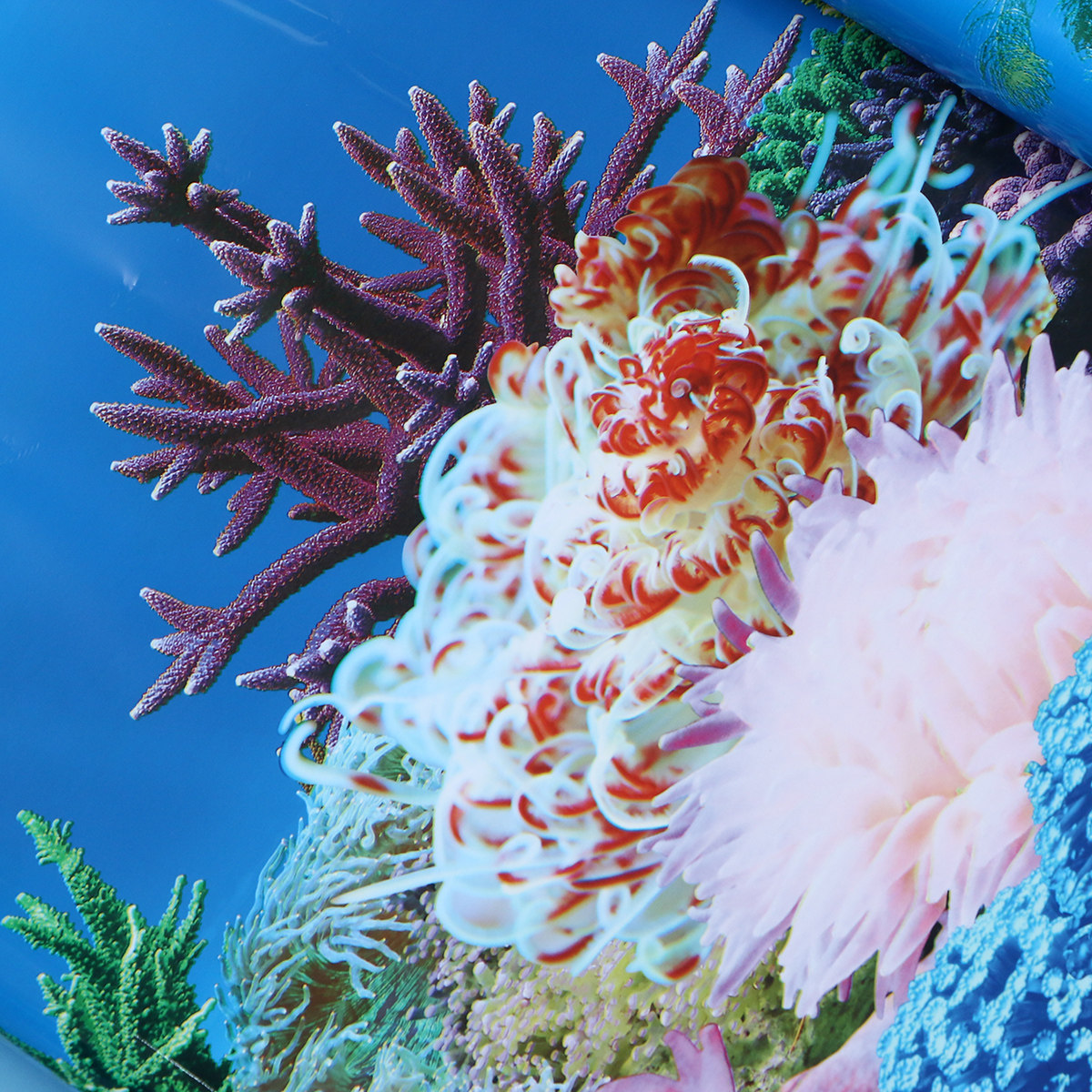 3 D Wallpaper Backgrounds for  - Fish In Aquarium Picture 评论和价格