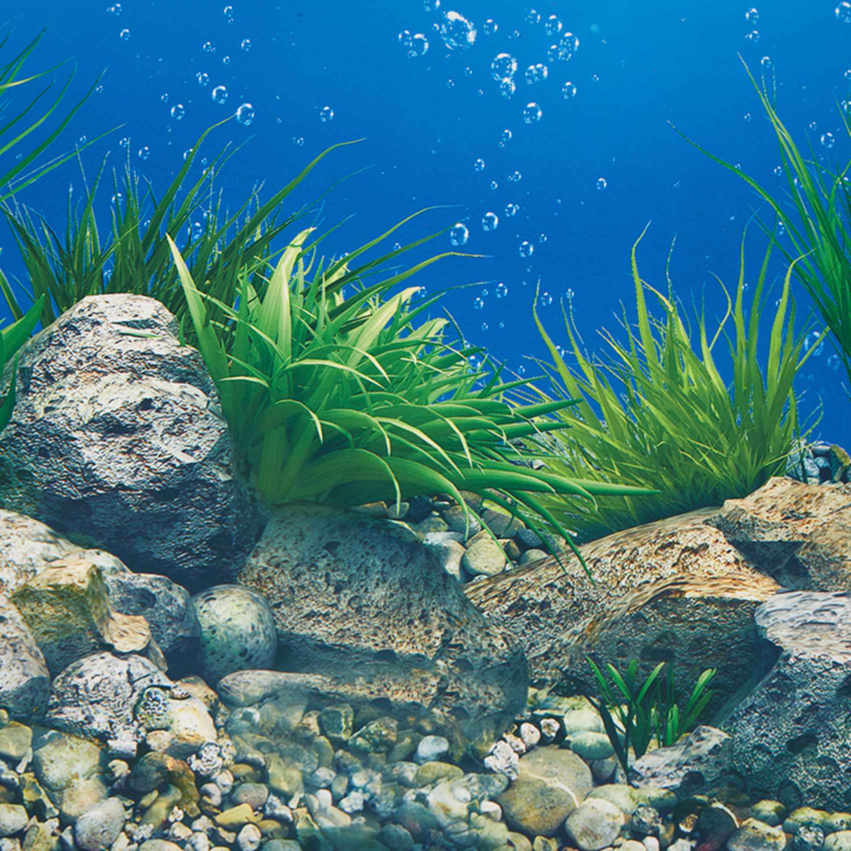 A77I Aquarium Background Paper - Fish In Aquarium Picture 评论和价格
