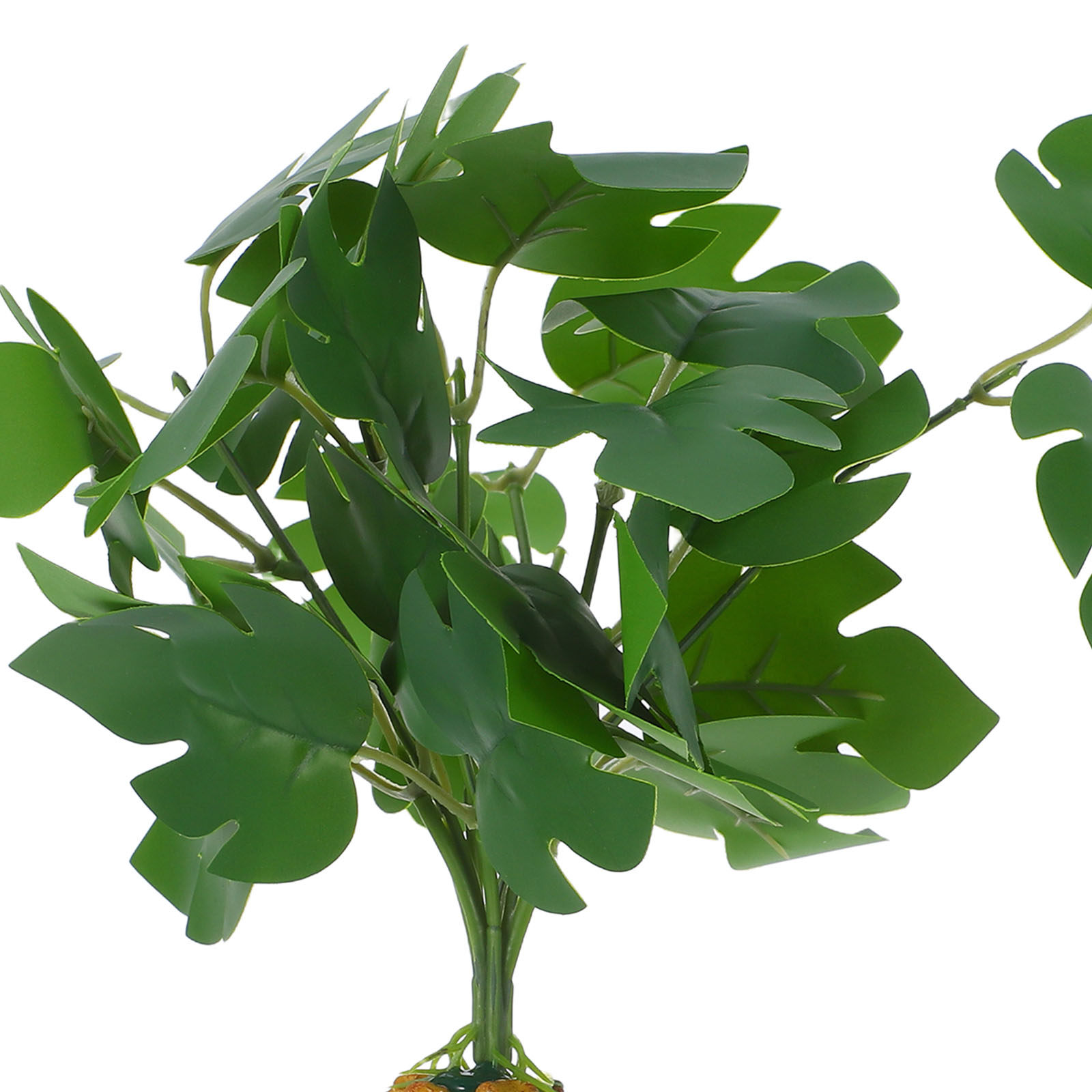 Terrarium Artificial Plants Fi - Aquarium Fish Dragon 评论和价格