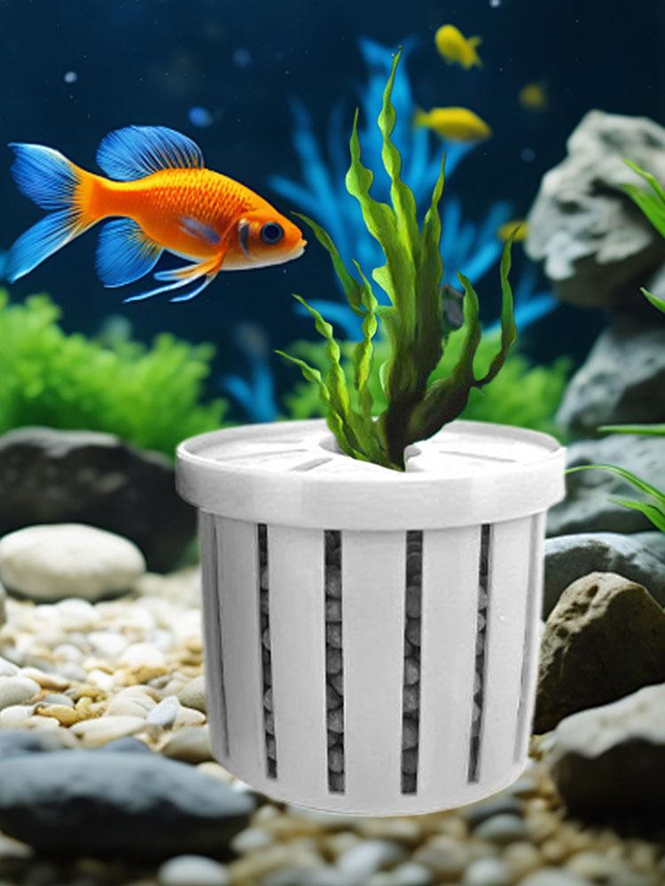 4pcs Aquarium Plant Holder Bas - Aquarium Fish Restaurant 评论和价格