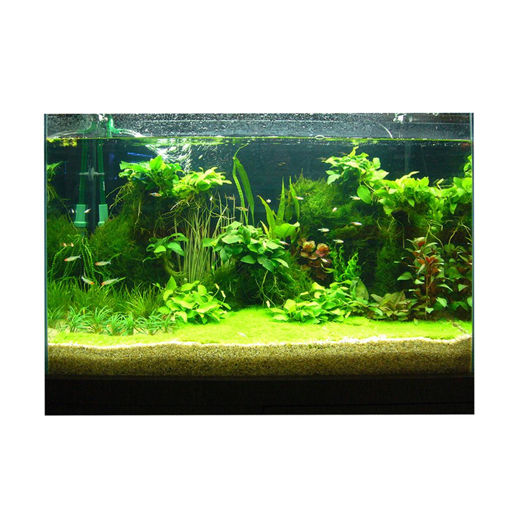 Fish Tank 3D Background Sticke - Fish In Aquarium Picture 评论和价格