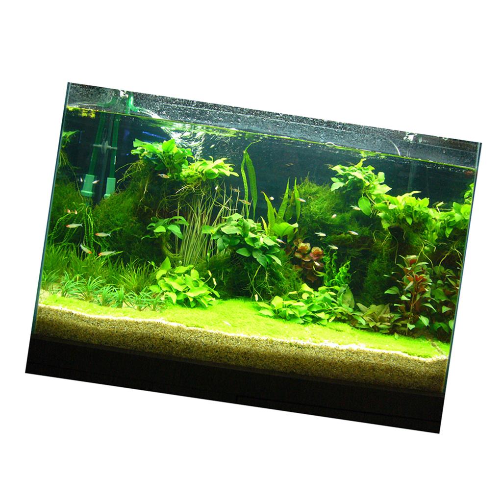 Fish Tank 3D Background Sticke - Fish In Aquarium Picture 评论和价格