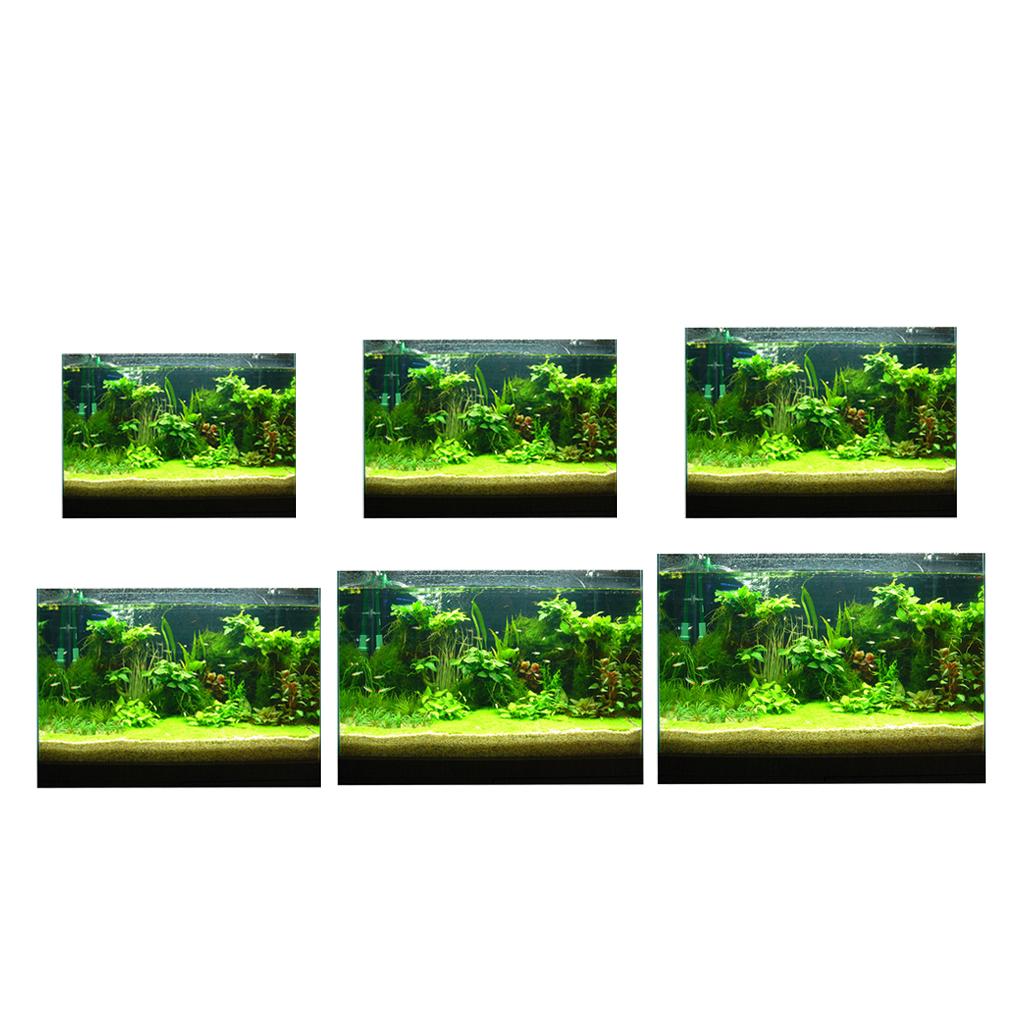 Fish Tank 3D Background Sticke - Fish In Aquarium Picture 评论和价格