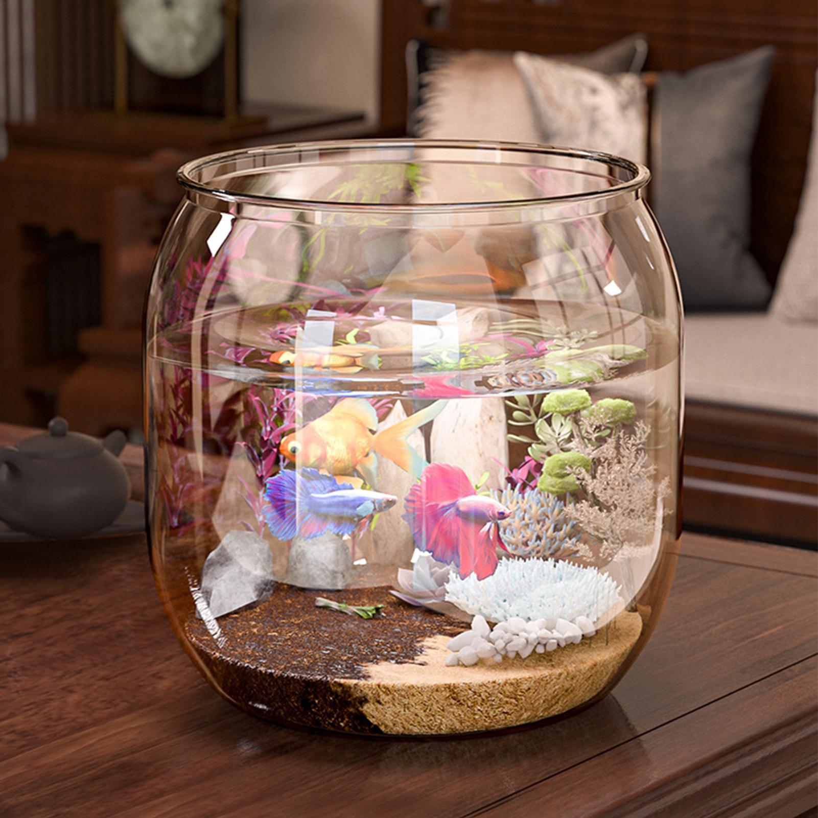 Mini Fish Bowl Decorative Clea - Aquarium Fish Restaurant 评论和价格