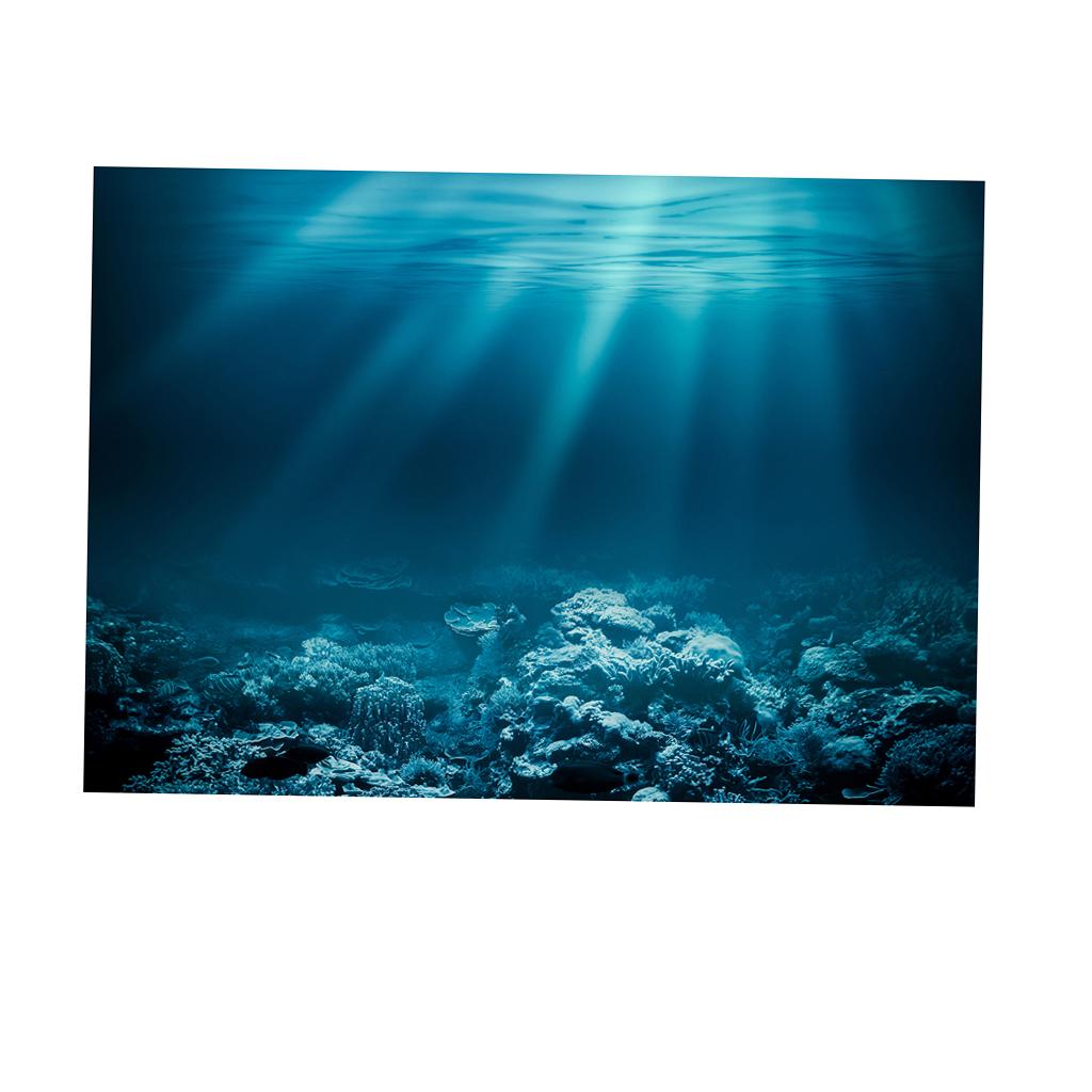 Fish Tank Adhesive Poster PVC  - Fish In Aquarium Picture 评论和价格