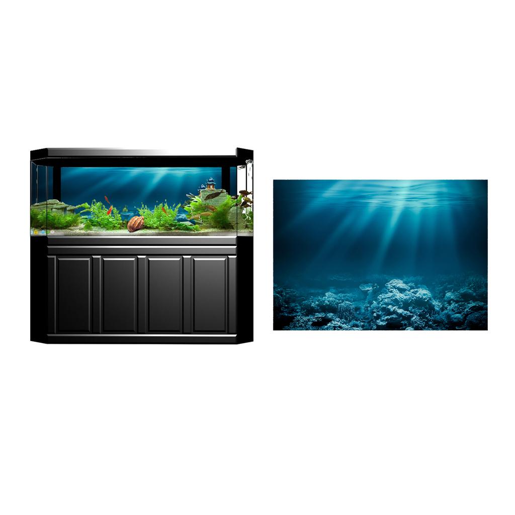 Fish Tank Adhesive Poster PVC  - Fish In Aquarium Picture 评论和价格
