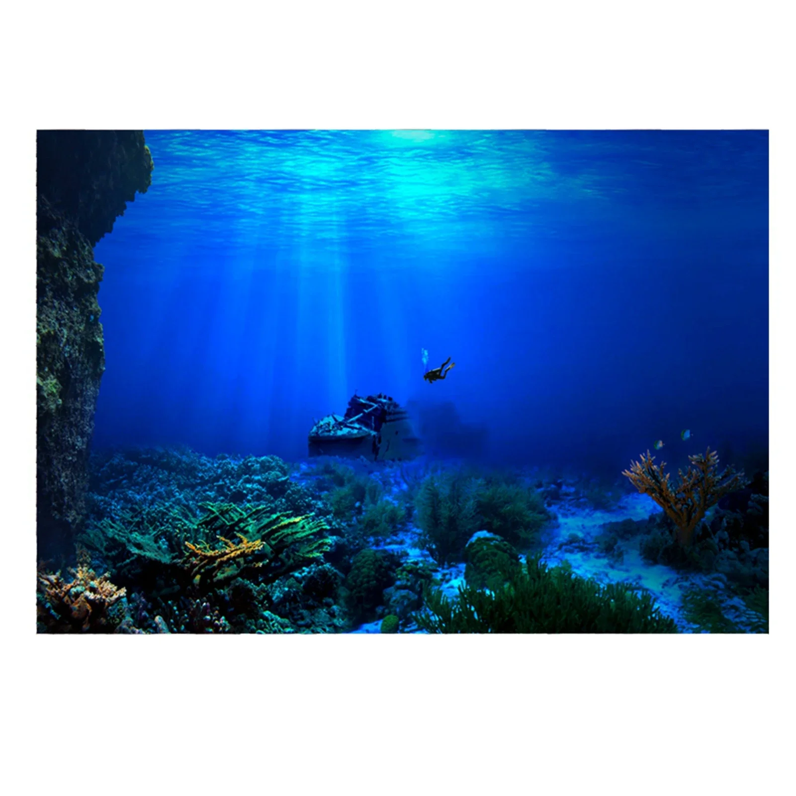 Rainforest Aquarium Background - Fish In Aquarium Picture 评论和价格
