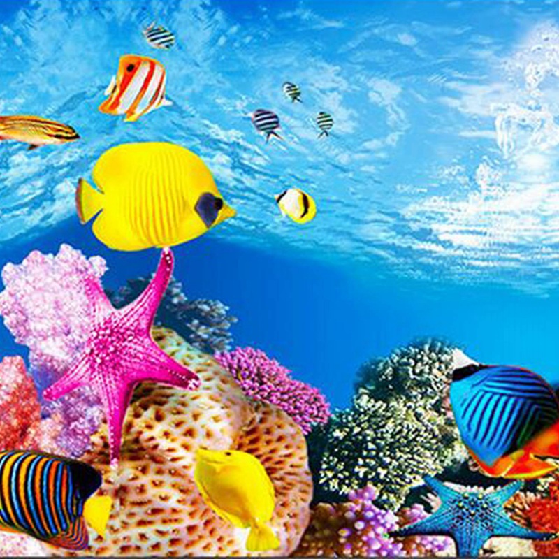 BAAU Aquarium Background Paper - Fish In Aquarium Picture 评论和价格