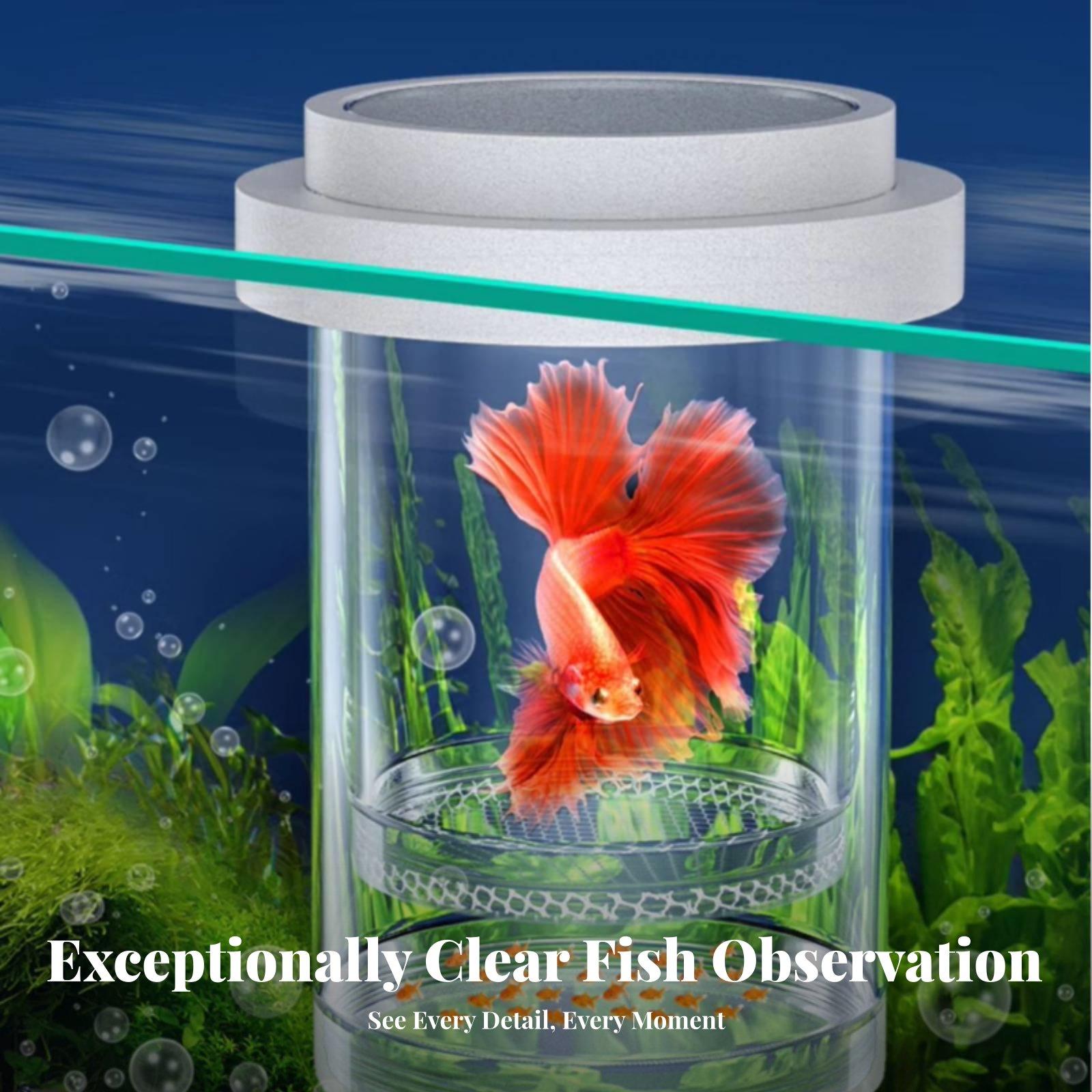 Fry Isolation Container Plasti - Aquarium Fish In 评论和价格