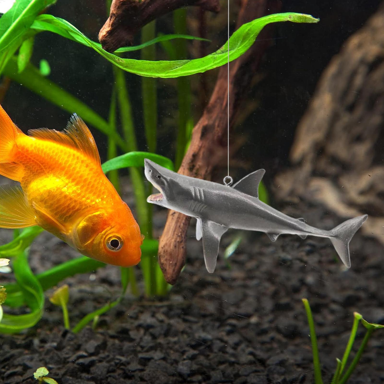 Floating Shark Aquarium Landsc - Aquarium Fish Shark 评论和价格