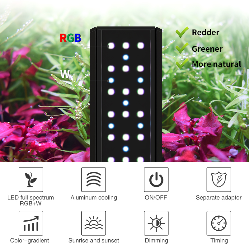 V300SE Best Price 30 40cm Fres - Aquarium Fish And Price 评论和价格