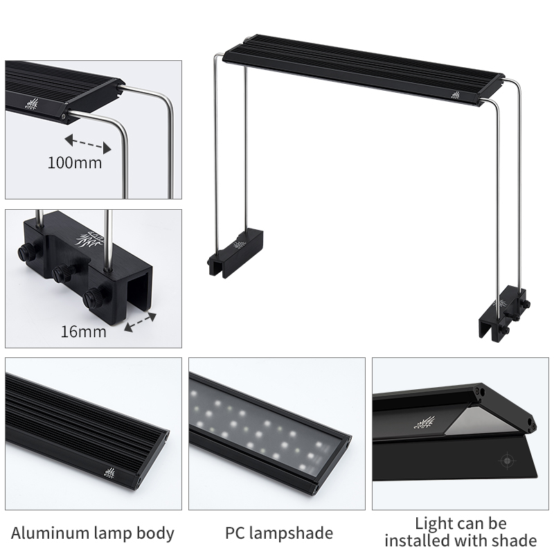 V300SE Best Price 30 40cm Fres - Aquarium Fish And Price 评论和价格