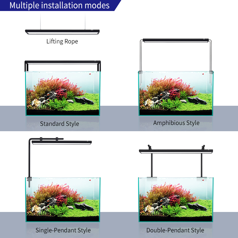 V300SE Best Price 30 40cm Fres - Aquarium Fish And Price 评论和价格