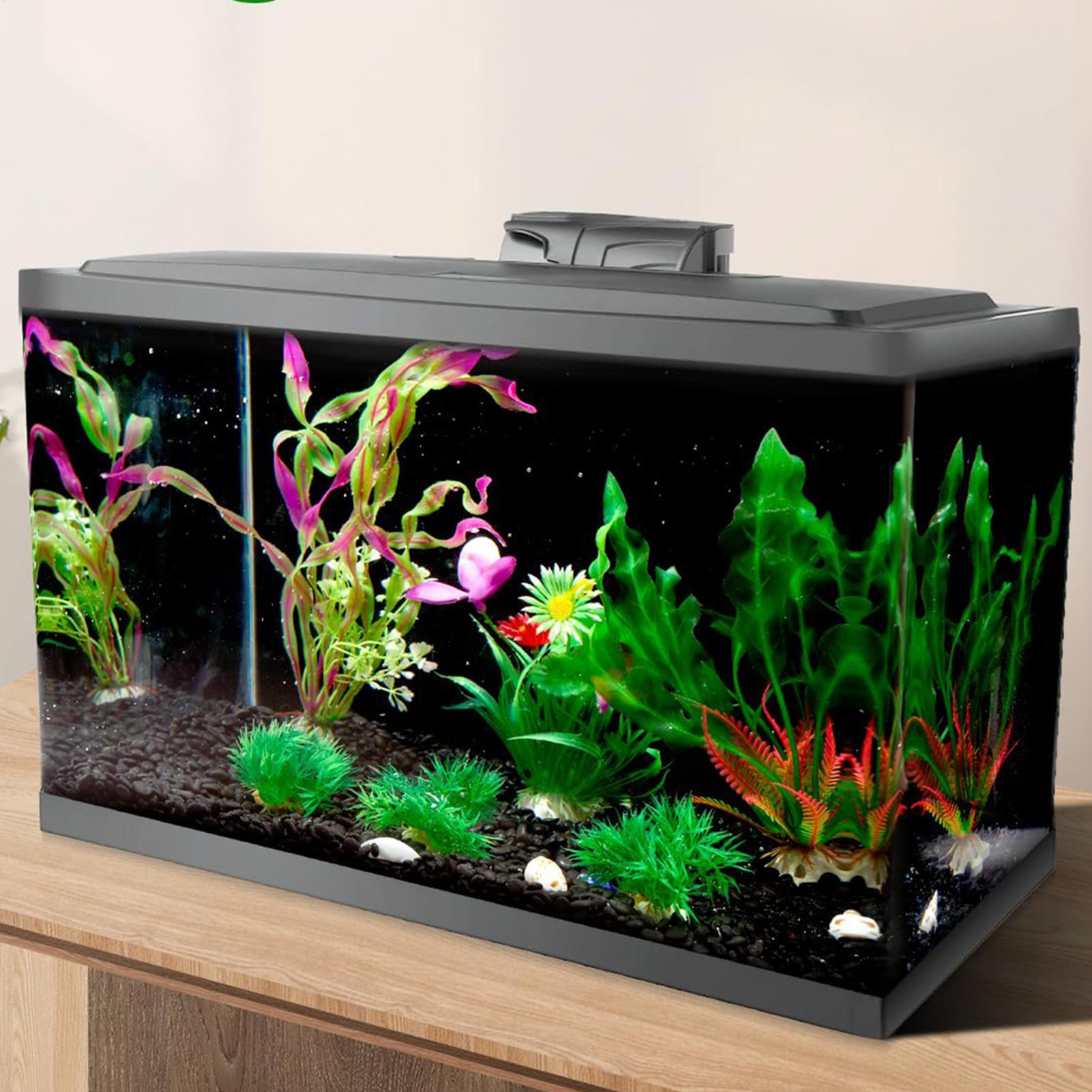 Black Aquarium Background Pict - Fish In Aquarium Picture 评论和价格