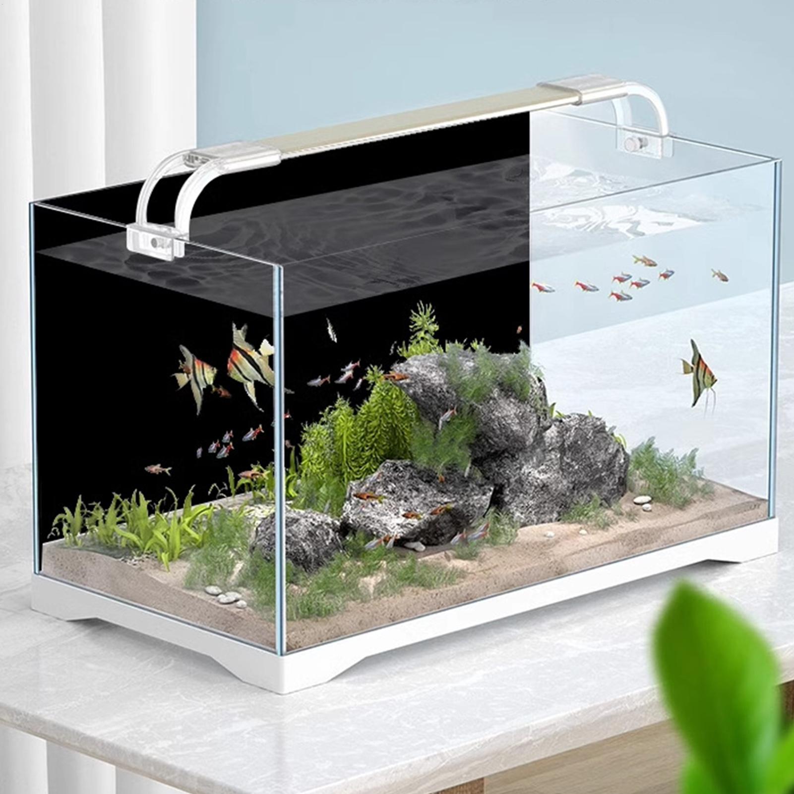 Black Aquarium Background Pict - Fish In Aquarium Picture 评论和价格