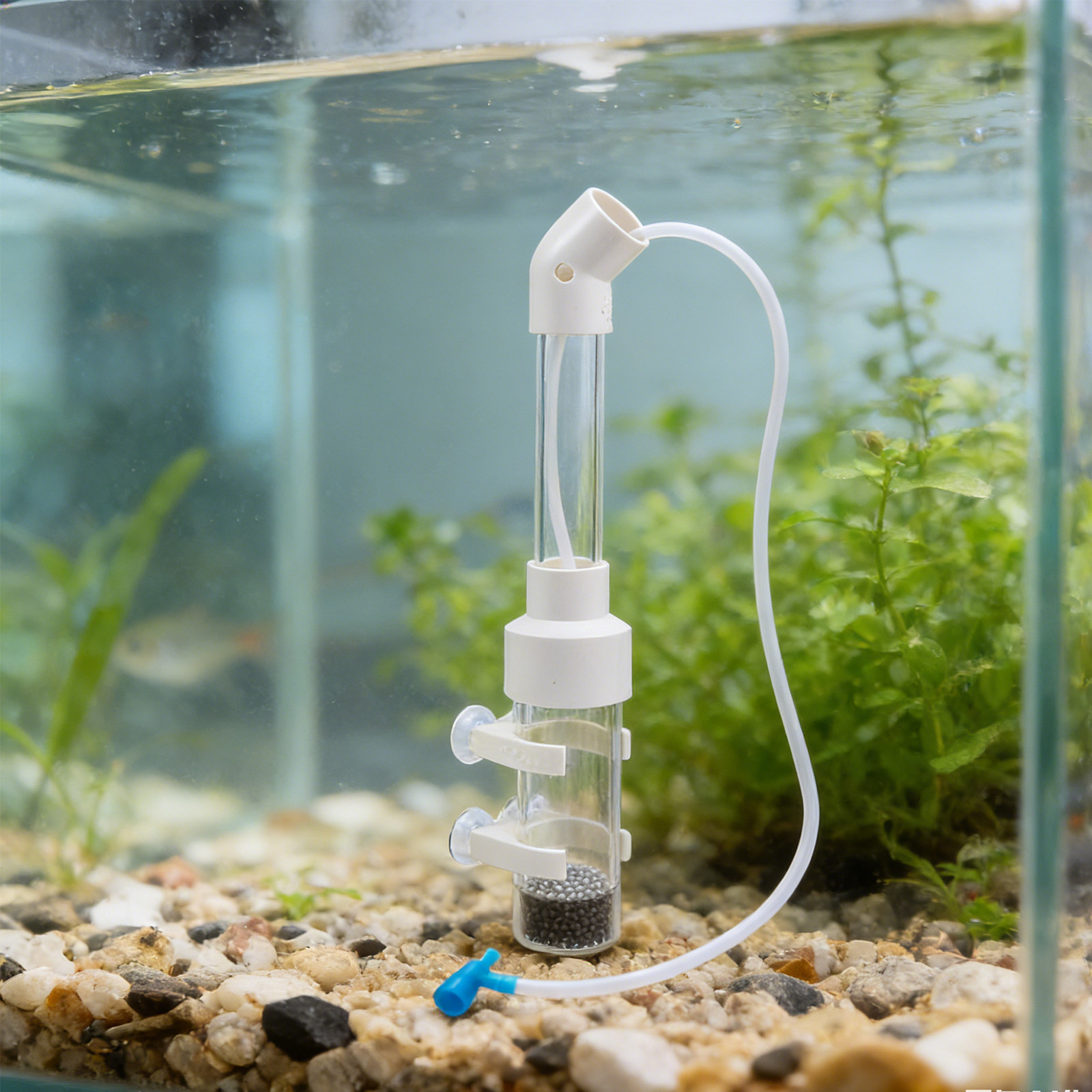 2Sets Fish Egg Incubator Kit 4 - Aquarium Fish In 评论和价格