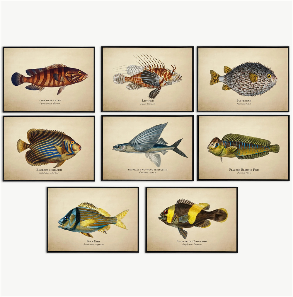Vintage Pictures Tropical Fish - Fish In Aquarium Picture 评论和价格