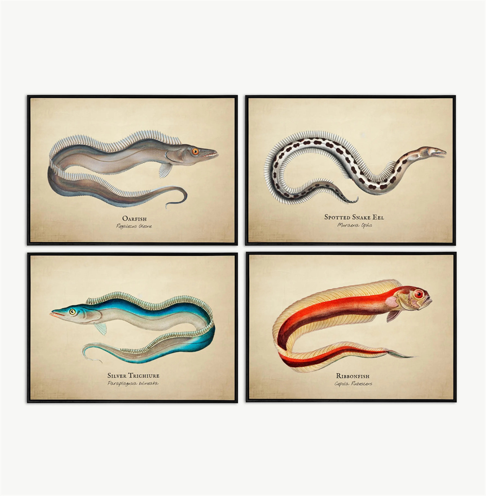 Vintage Pictures Tropical Fish - Fish In Aquarium Picture 评论和价格