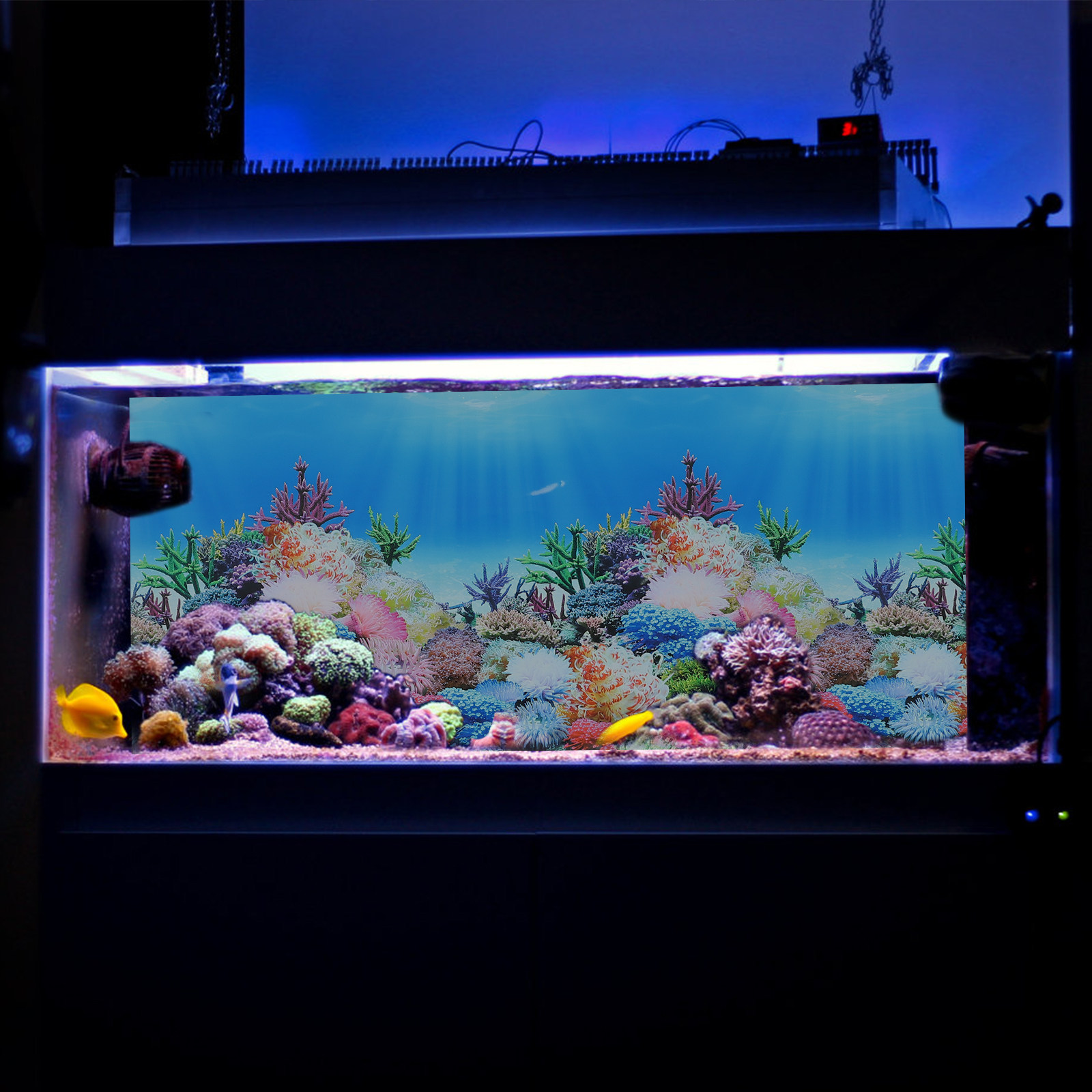 Fish Tank Aquarium Decor Backg - Fish In Aquarium Picture 评论和价格