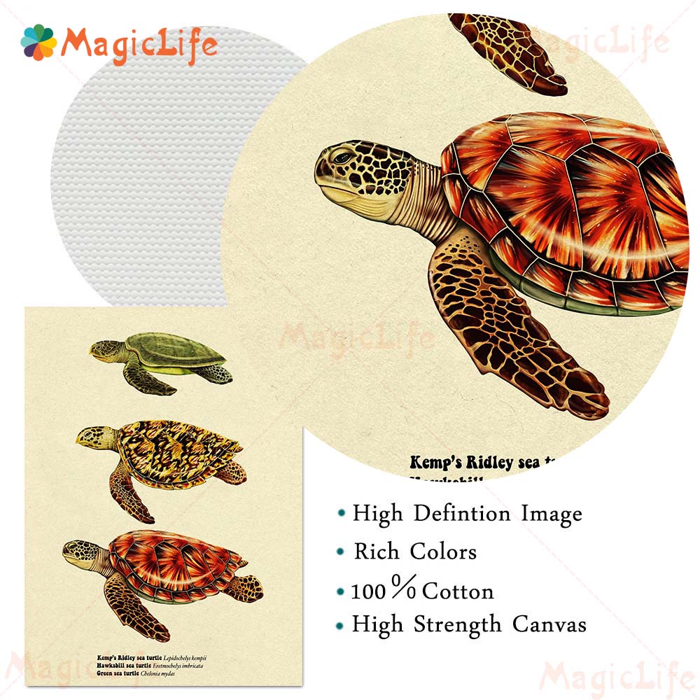 Vintage Sea Fish Tortoise Shar - Fish In Aquarium Picture 评论和价格
