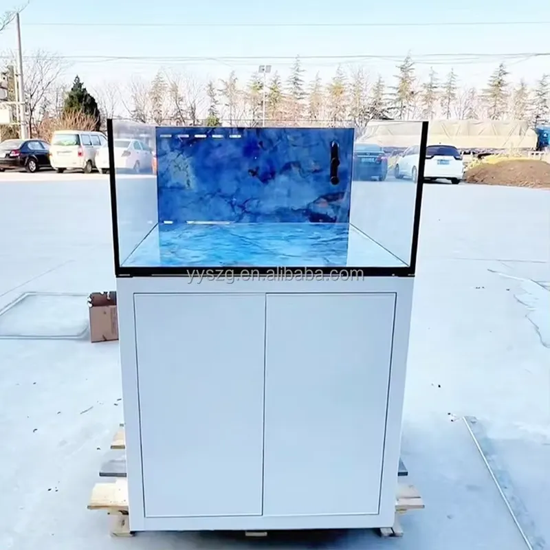2.6Ft Square Rectangle Glass A - Aquarium Fish Restaurant 评论和价格