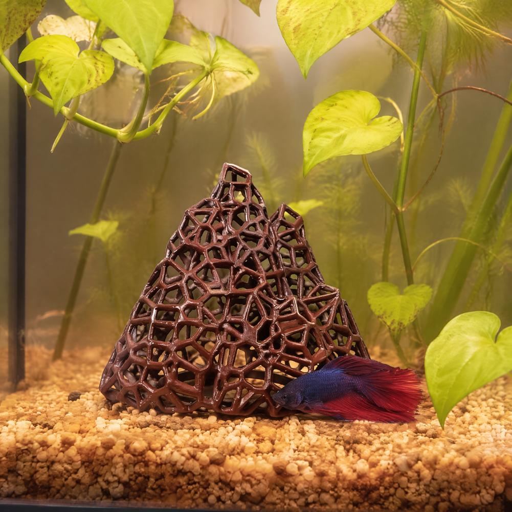 Aquatic Landscape Ornament Aqu - Fish In Aquarium Picture 评论和价格