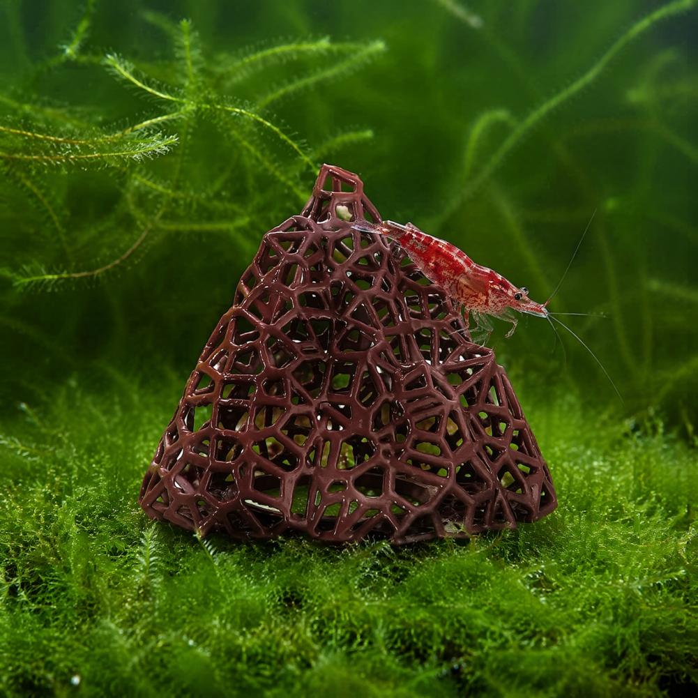 Aquatic Landscape Ornament Aqu - Fish In Aquarium Picture 评论和价格