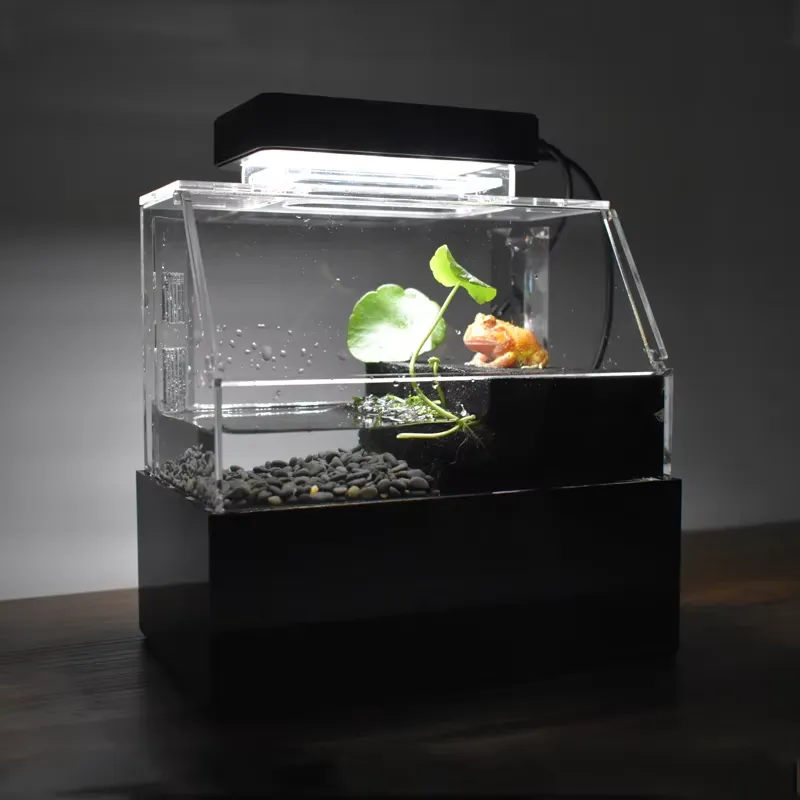 Relaxlines Custom Desktop Aqua - Aquarium Fish For Sale 评论和价格