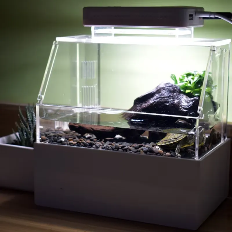 Relaxlines Custom Desktop Aqua - Aquarium Fish For Sale 评论和价格