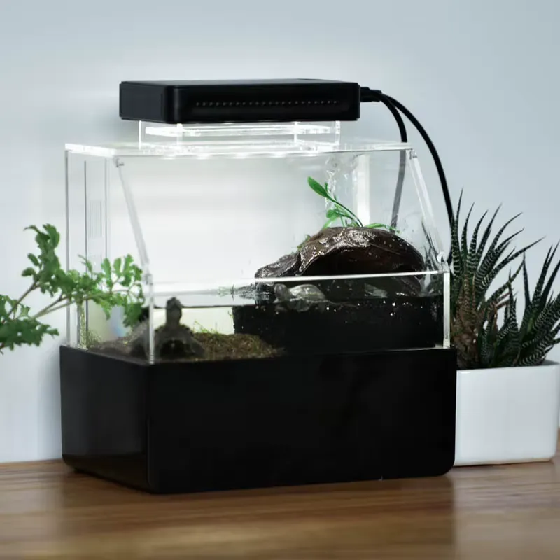 Relaxlines Custom Desktop Aqua - Aquarium Fish For Sale 评论和价格