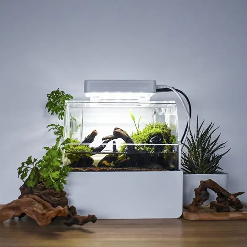 Relaxlines Custom Desktop Aqua - Aquarium Fish For Sale 评论和价格