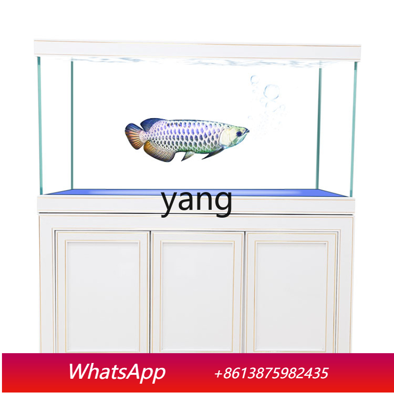 LH Super White Glass Medium an - Aquarium Fish Dragon 评论和价格