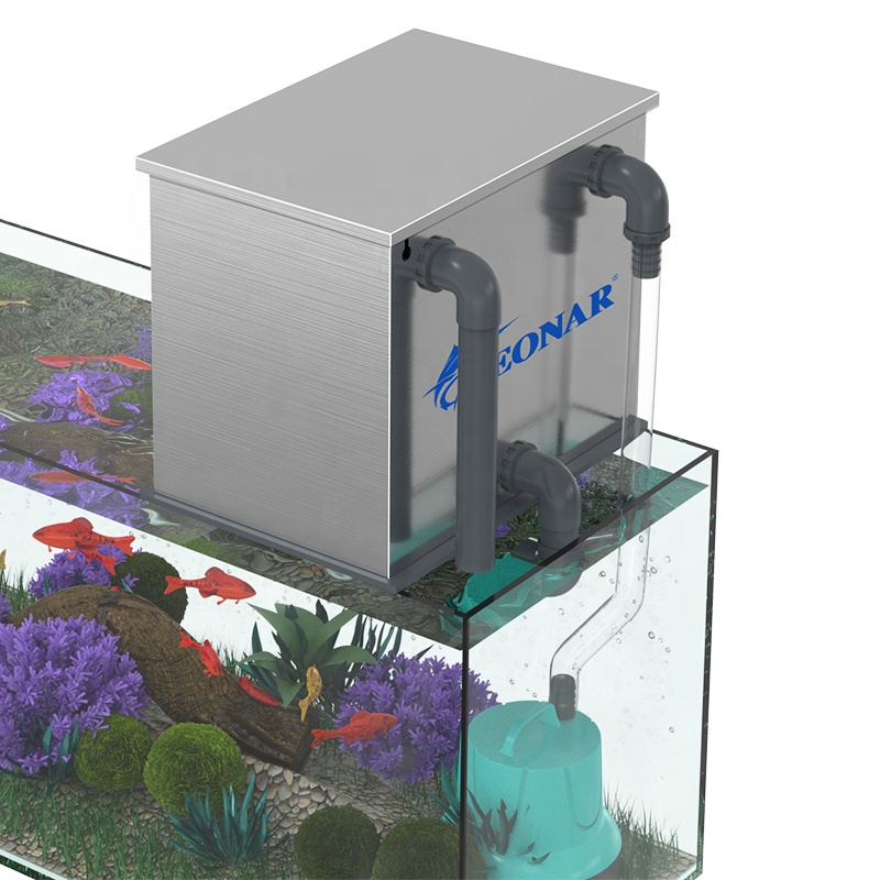 Factory Direct Sales Aquarium  - Aquarium Fish For Sale 评论和价格