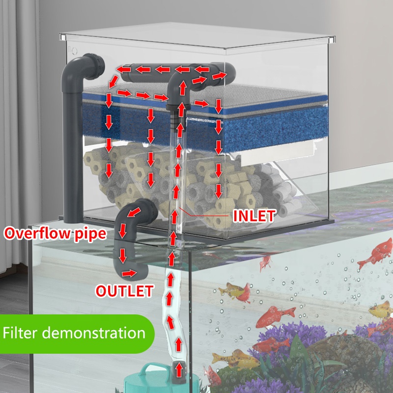 Factory Direct Sales Aquarium  - Aquarium Fish For Sale 评论和价格