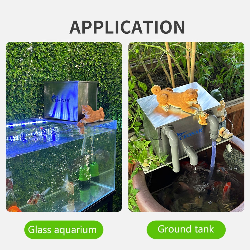 Factory Direct Sales Aquarium  - Aquarium Fish For Sale 评论和价格