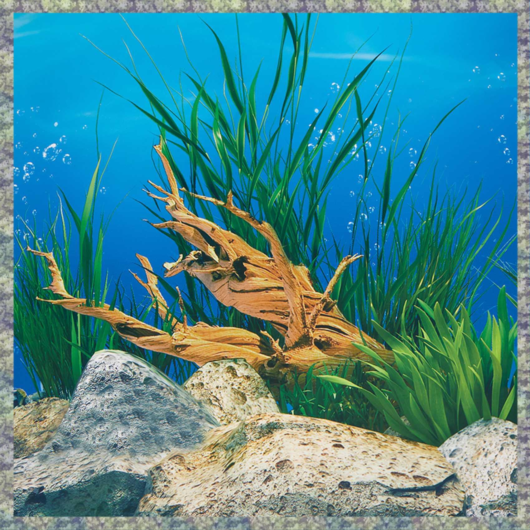 WON Aquarium Background Paper  - Fish In Aquarium Picture 评论和价格