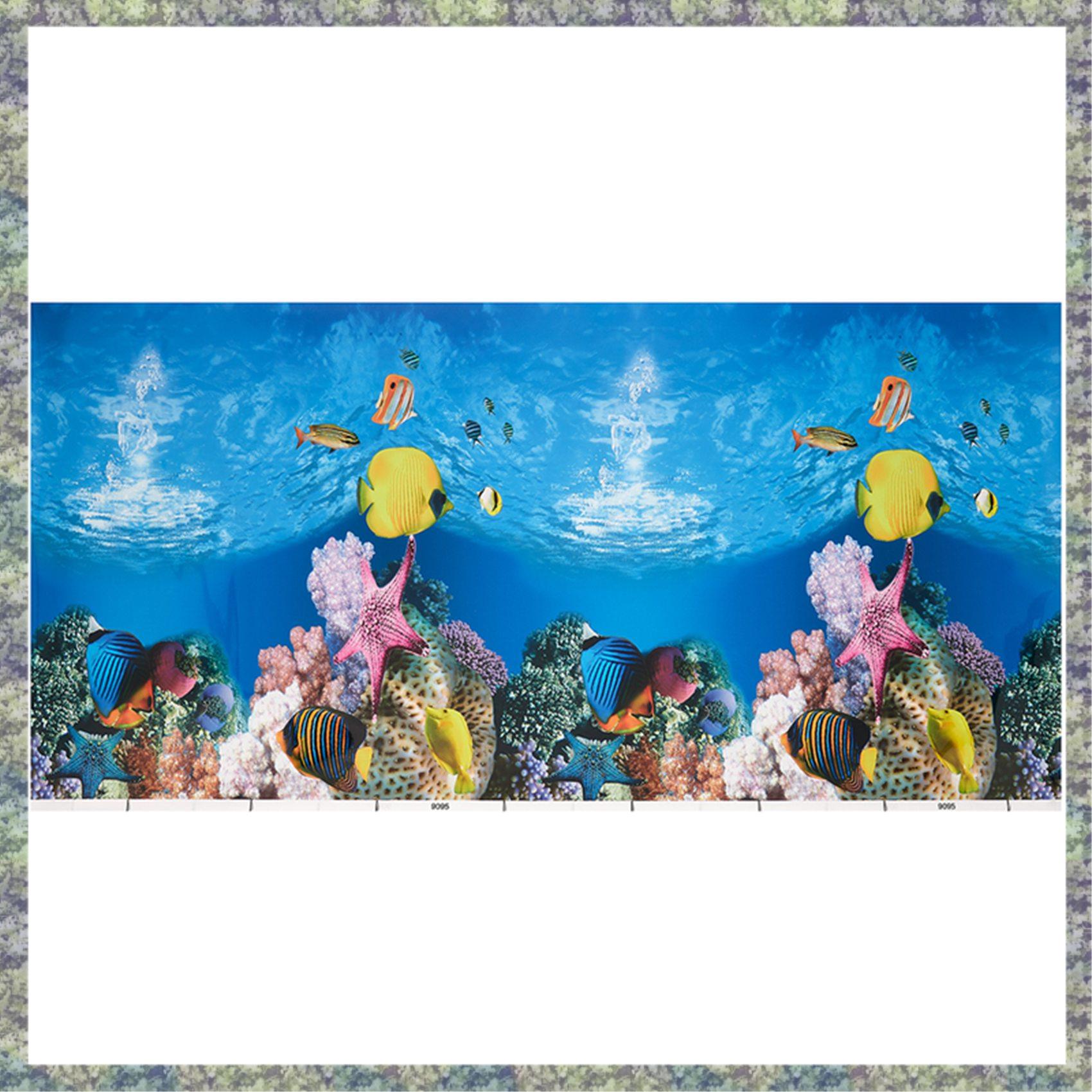 WON Aquarium Background Paper  - Fish In Aquarium Picture 评论和价格