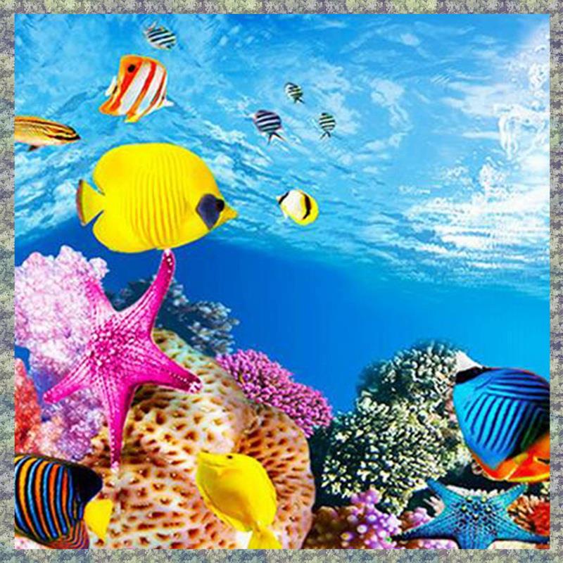 WON Aquarium Background Paper  - Fish In Aquarium Picture 评论和价格