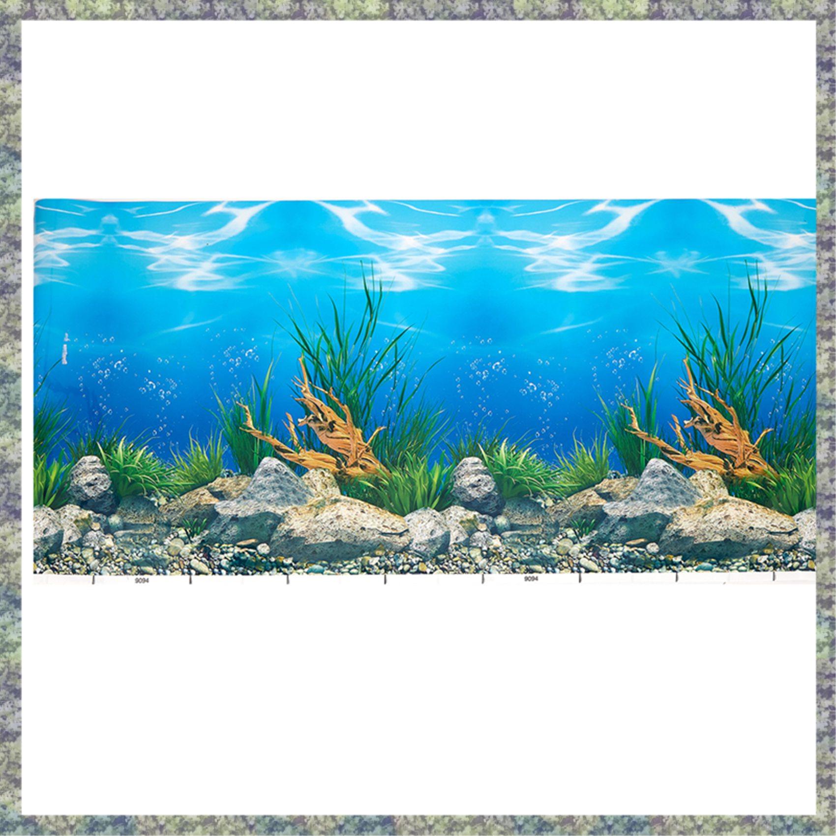 WON Aquarium Background Paper  - Fish In Aquarium Picture 评论和价格